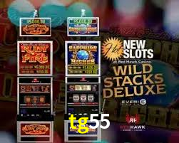 tg55.com
