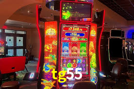 tg55.com
